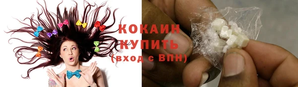 хмурый Алзамай