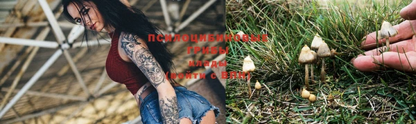 герыч Алексин