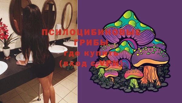 хмурый Алзамай