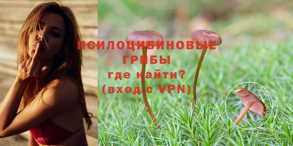 хмурый Алзамай