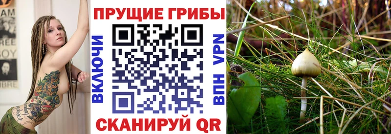 Псилоцибиновые грибы мицелий  Ишим 